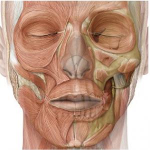 Orofacial Myofunctional Therapy